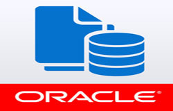 Oracle数据库管理工具有哪些?-北京易游线上平台,易游（中国）公司
